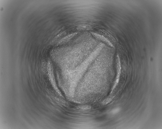 X0000060580659200512011734