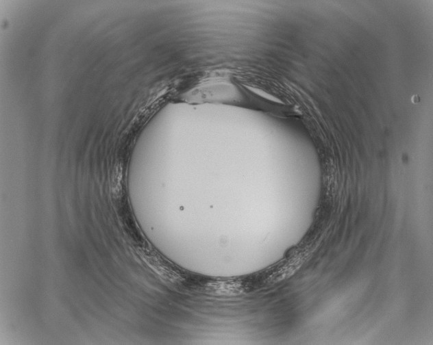 X0000060580660200512011734