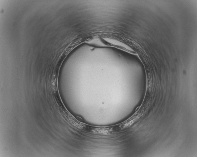 X0000060580661200512011734