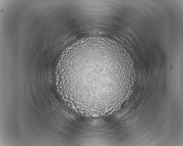 X0000060580663200512011734