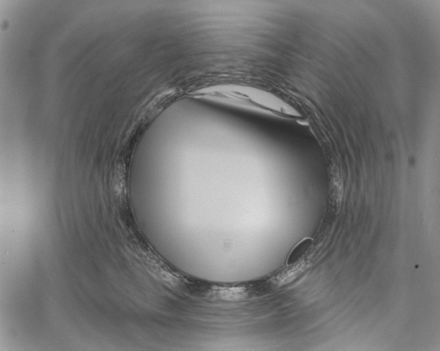 X0000060580665200512011734