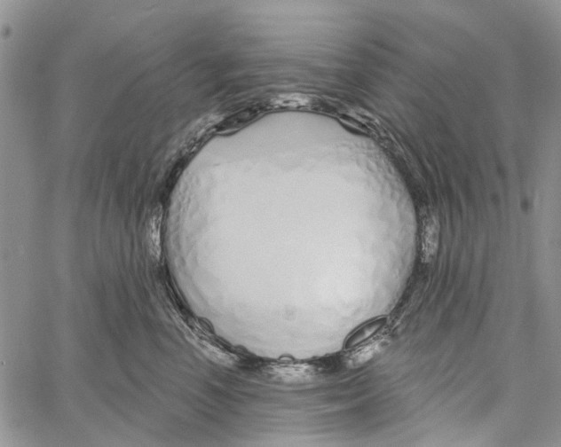 X0000060580666200512011734