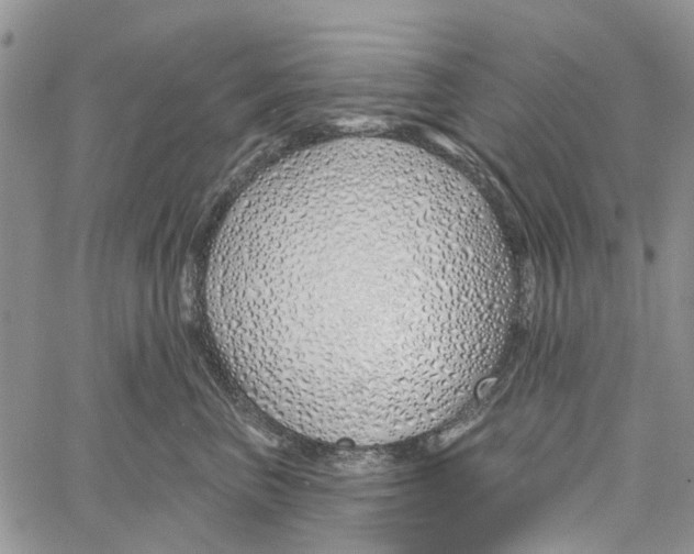 X0000060580667200512011734