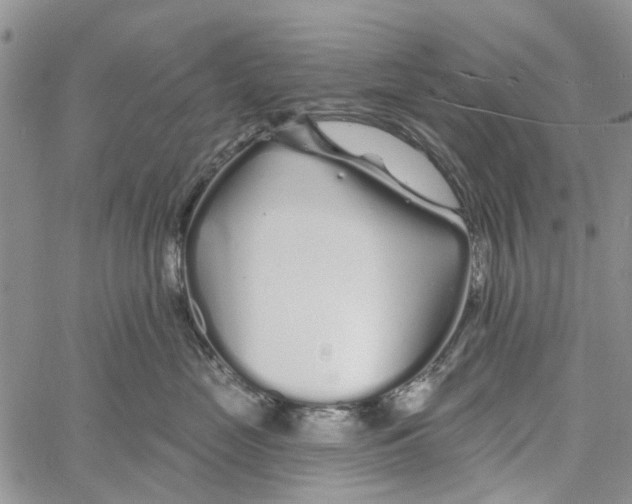 X0000060580669200512011734