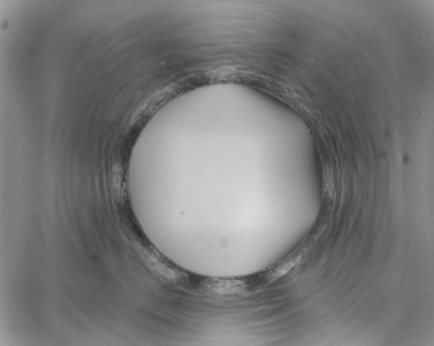 X0000060580670200512011734