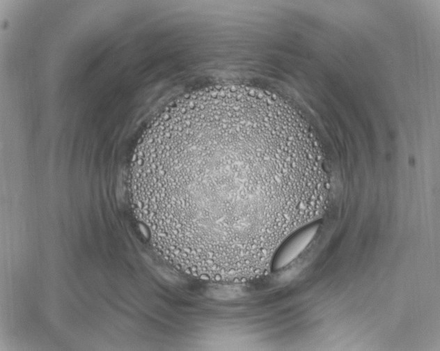 X0000060580671200512011734