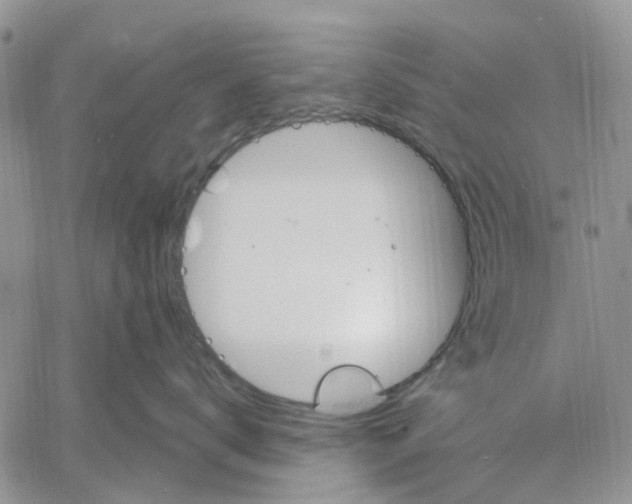 X0000060580672200512011734