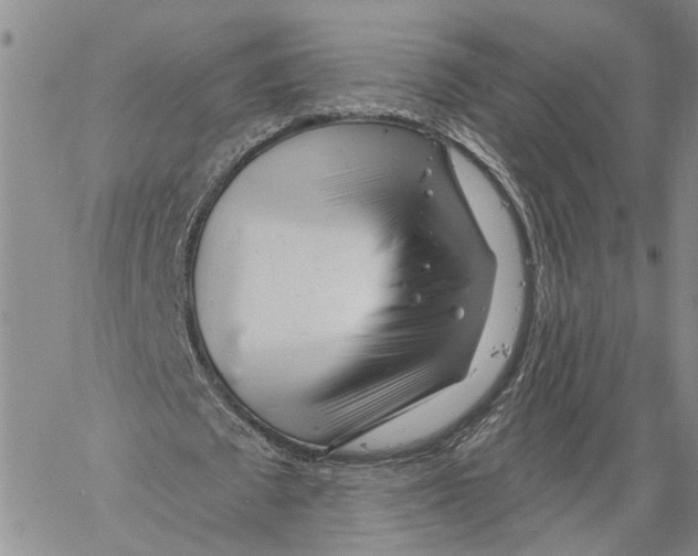 X0000060580673200512011733