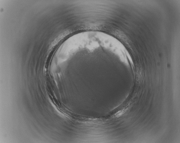 X0000060580674200512011733