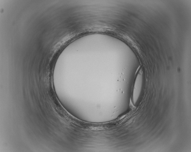 X0000060580675200512011733