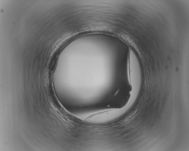 X0000060580676200512011733