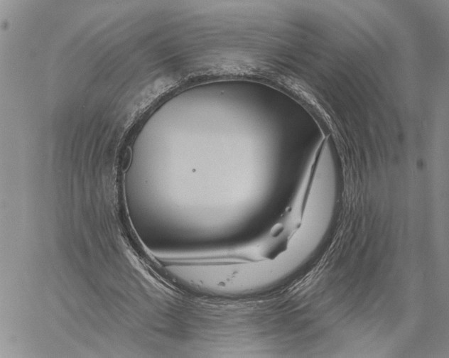 X0000060580677200512011733