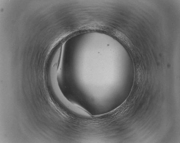 X0000060580680200512011733