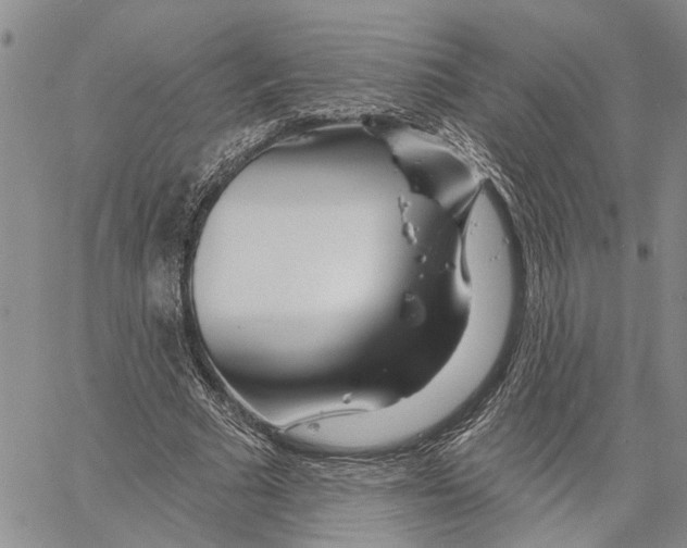 X0000060580681200512011733