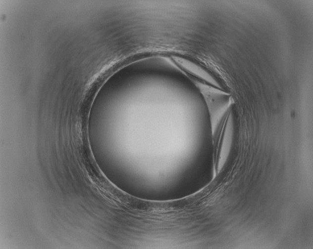 X0000060580684200512011733