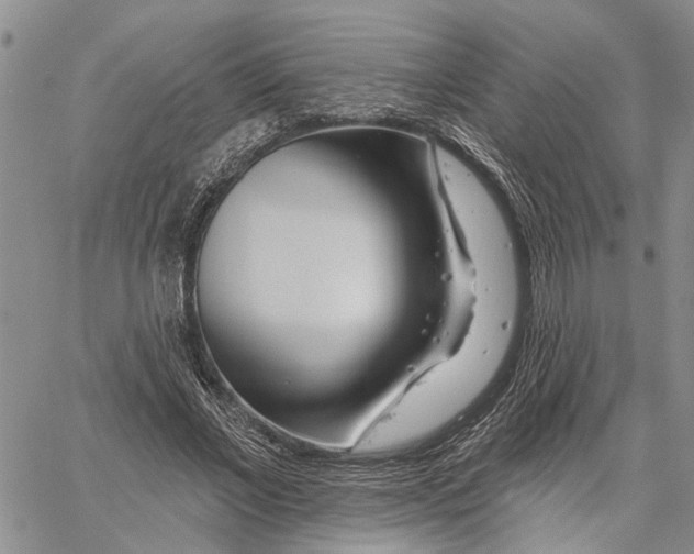 X0000060580685200512011733