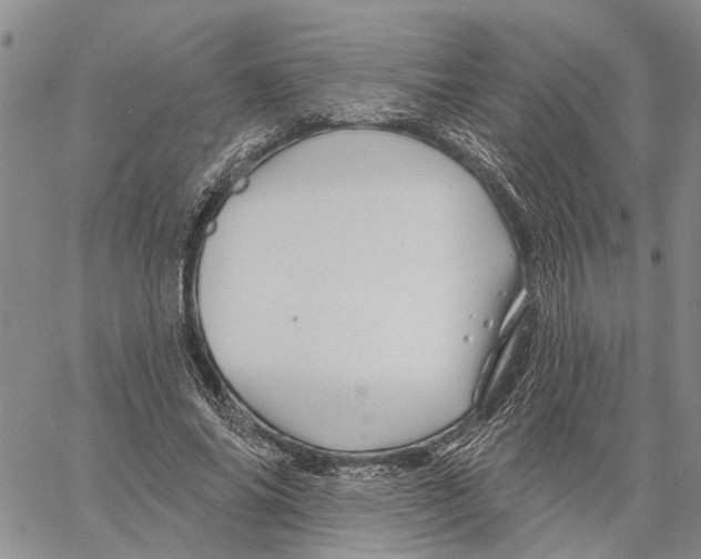 X0000060580686200512011733