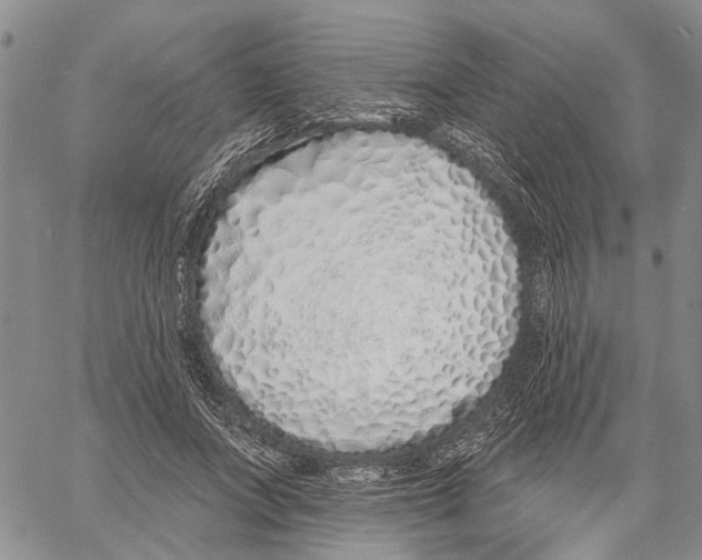 X0000060580687200512011733