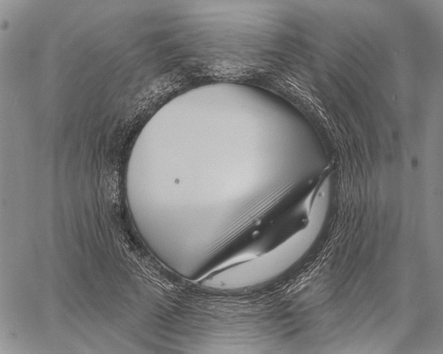 X0000060580689200512011733