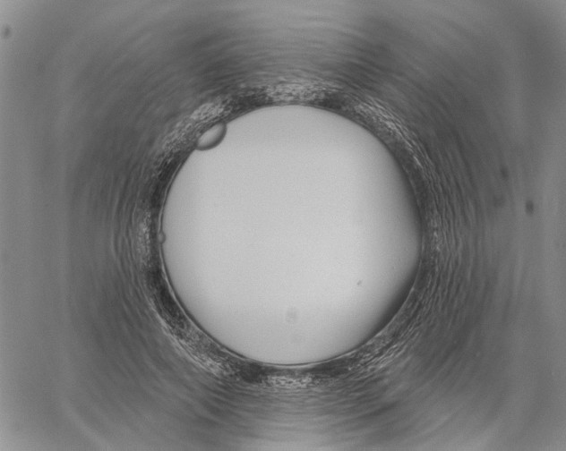 X0000060580690200512011733