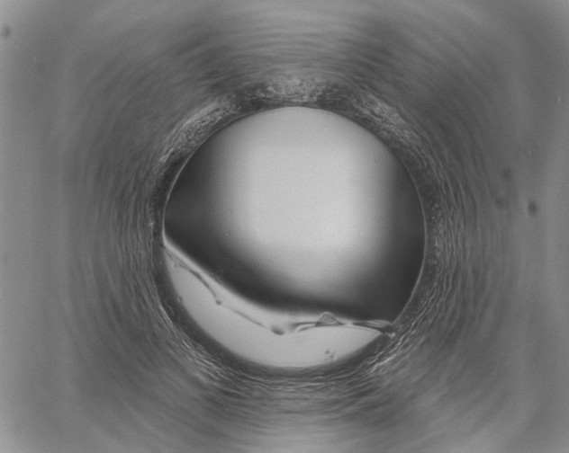 X0000060580693200512011733