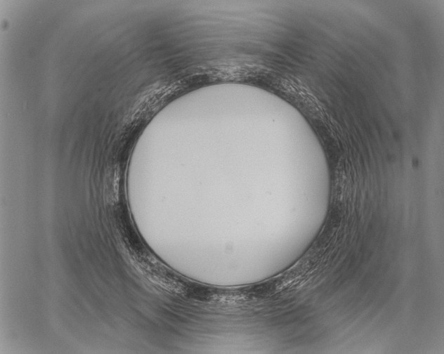 X0000060580694200512011733