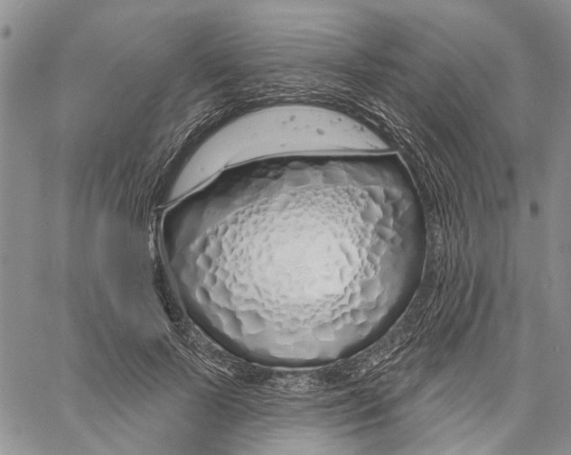 X0000060580695200512011733