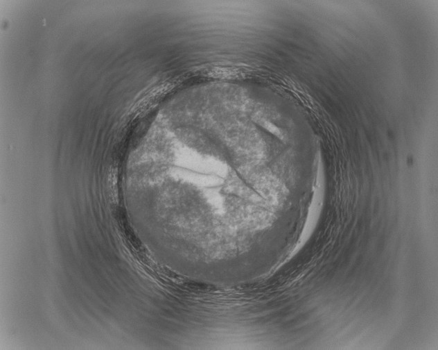 X0000060580696200512011733