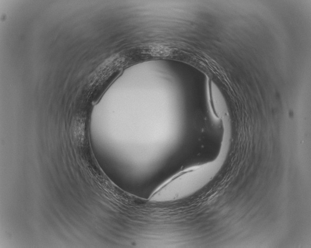 X0000060580697200512011733