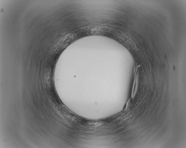 X0000060580698200512011733