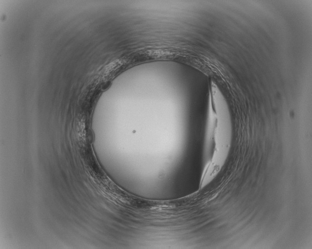 X0000060580700200512011733