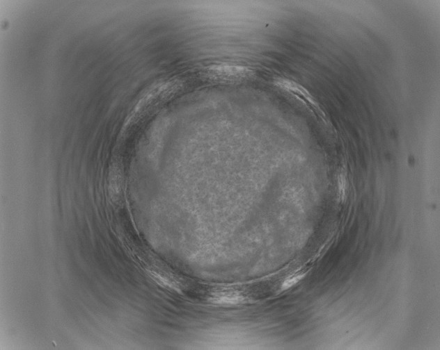 X0000060580701200512011733