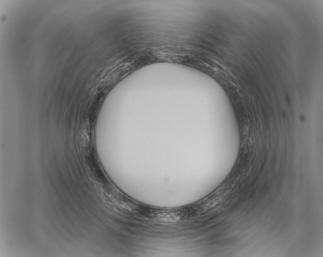 X0000060580702200512011733