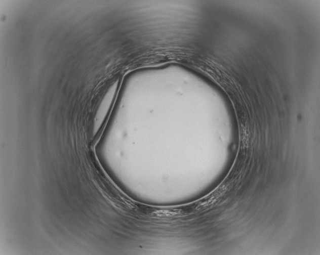 X0000060580703200512011733