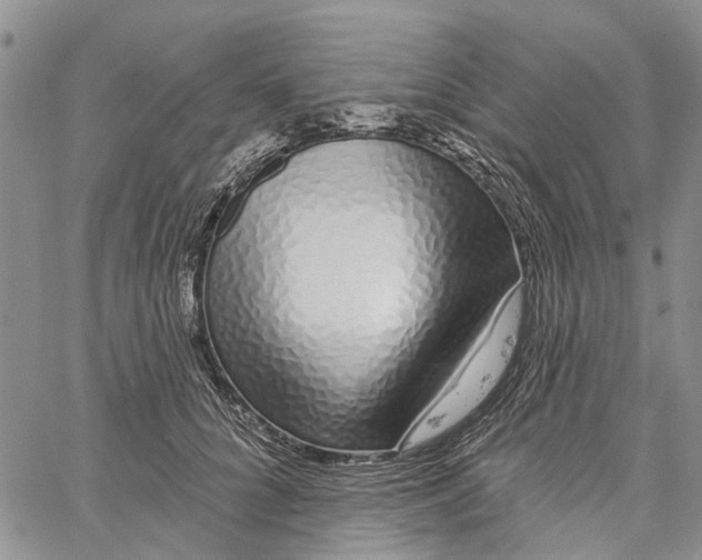 X0000060580704200512011733