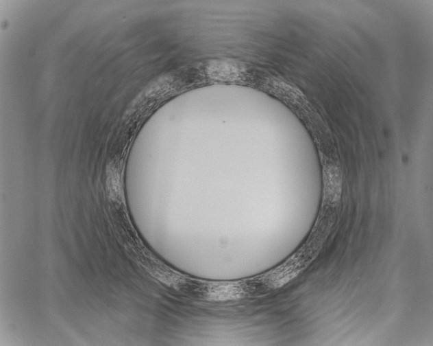 X0000060580705200512011733