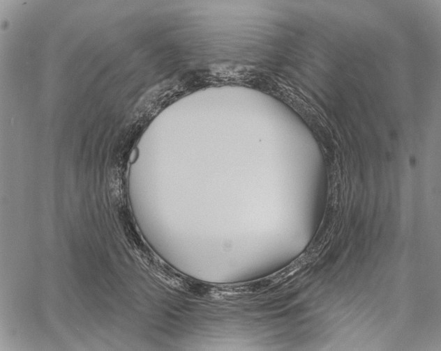 X0000060580706200512011733