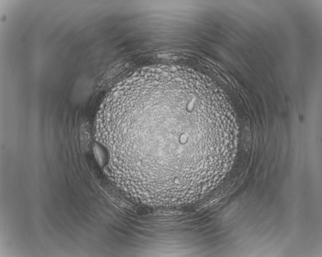 X0000060580707200512011733