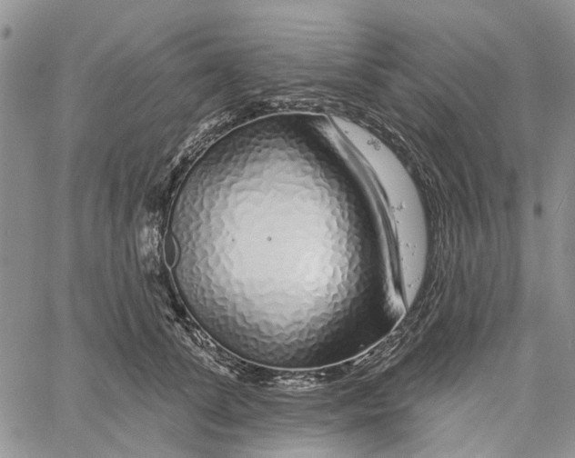 X0000060580708200512011733