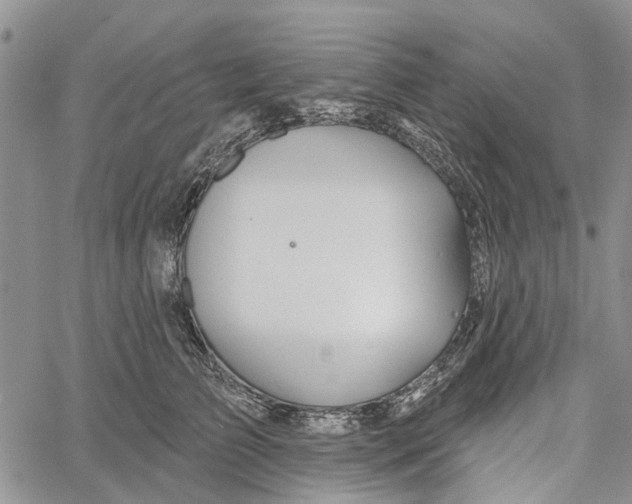 X0000060580709200512011733