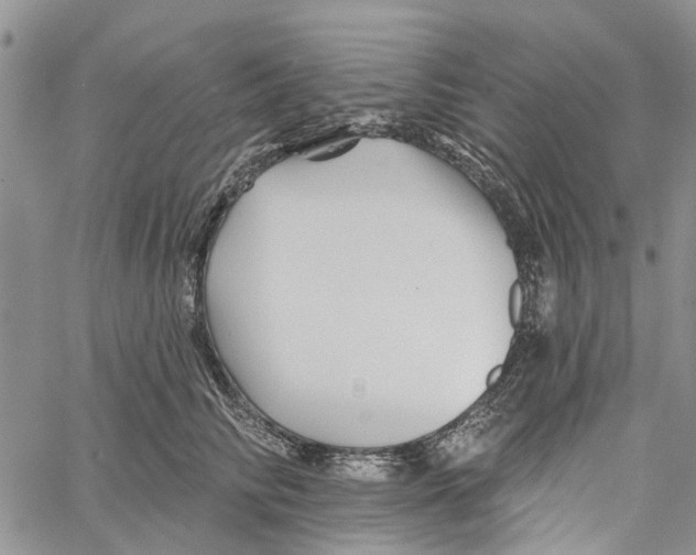 X0000060580710200512011733