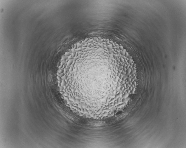 X0000060580711200512011733