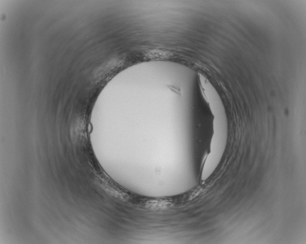 X0000060580714200512011733