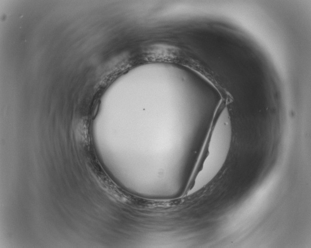 X0000060580715200512011733