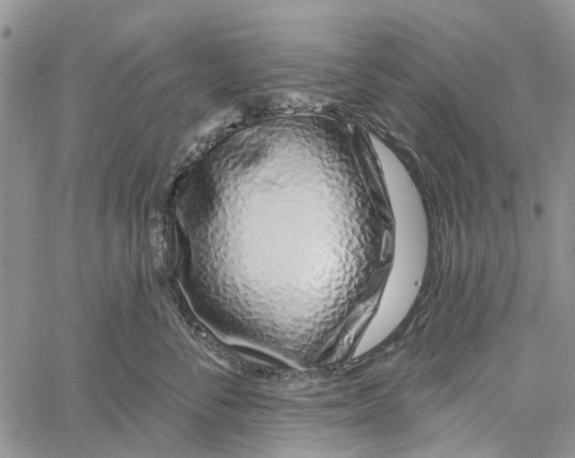 X0000060580716200512011733