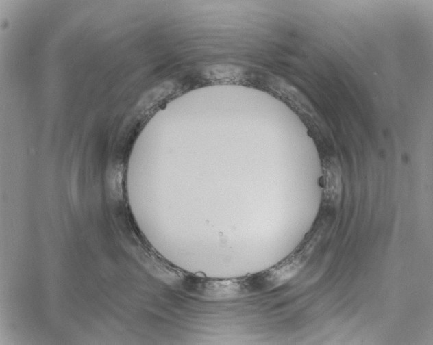 X0000060580717200512011733