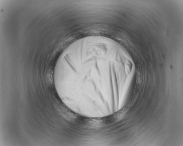 X0000060580718200512011733