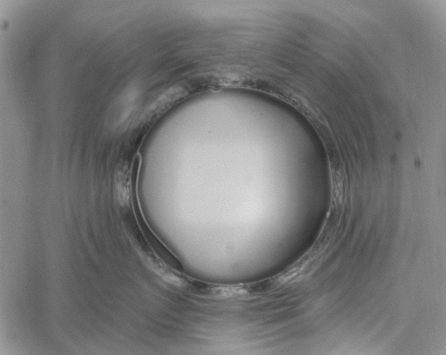 X0000060580719200512011733