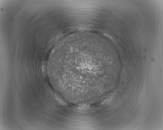 X0000060580720200512011733