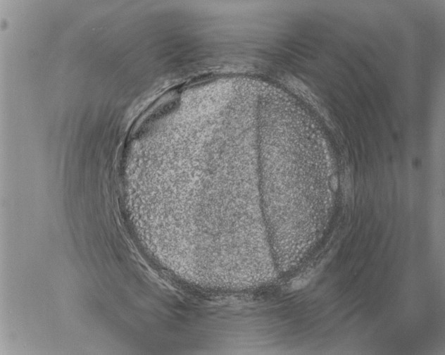 X0000060580721200512011732